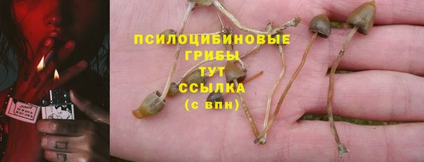 соль ск Инта