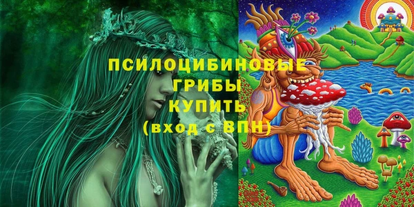 соль ск Инта